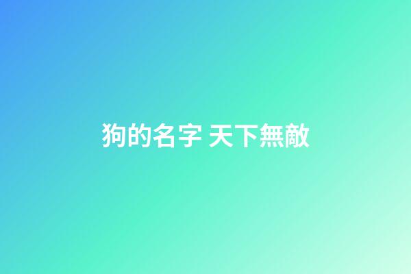 狗的名字 天下無敵